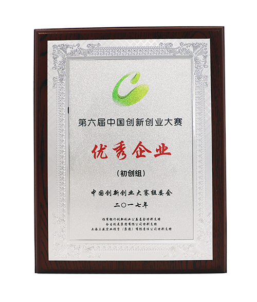 1610517529990229.png 第六屆中國(guó)創(chuàng)新創(chuàng)業(yè)大賽·優(yōu)秀企業(yè)獎(jiǎng)【2017年】.png